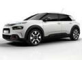 C4 Cactus (2014 Sonrası)